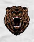 Bear Bear